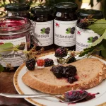 Krostata sa breskvama